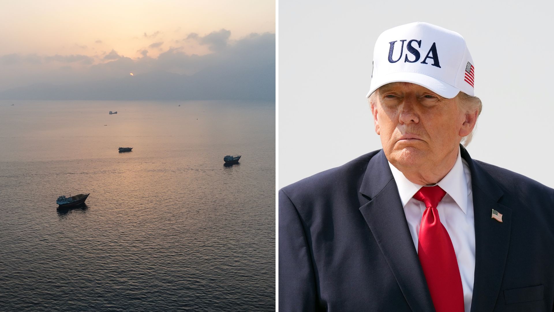 Trump proposes 20% toll as US becomes 'the guardian of the Hormuz Strait' and oil surges more than 9%