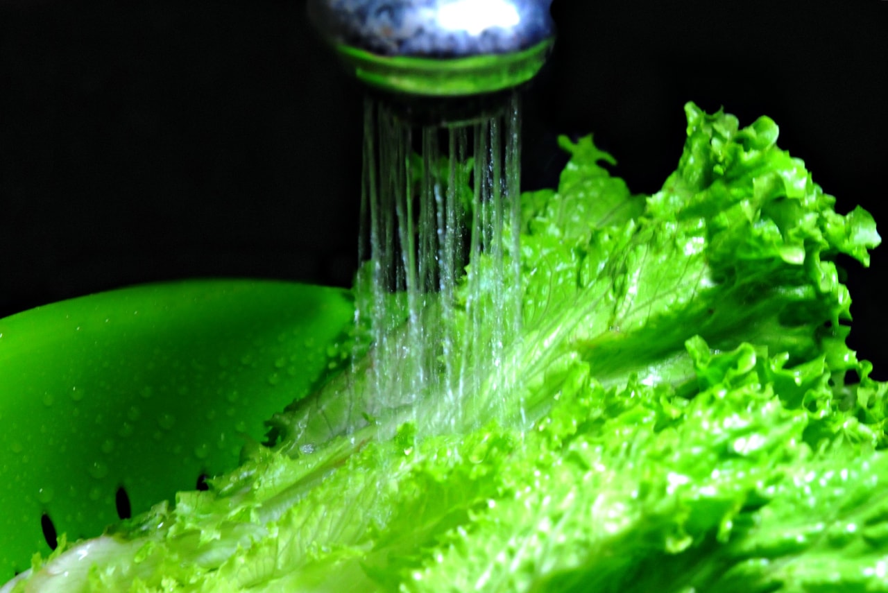 Health officials zero in on lettuce in explosive-diarrhea outbreak probe