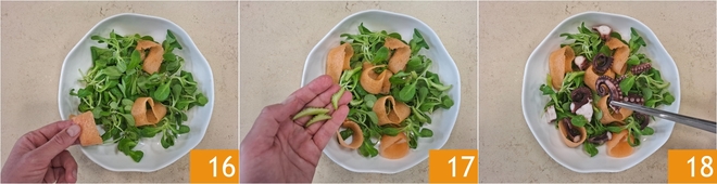 Octopus and Melon Salad