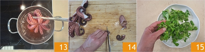 Octopus and Melon Salad