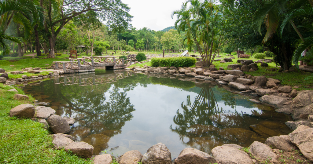 a hot springs pool surrounded by lush vegetation at Hot Springs National Park in Arkansas