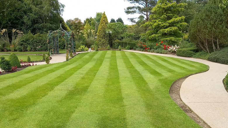 Sorry, But You Shouldn't Mow Your Lawn In A Repeating Pattern. Here's Why