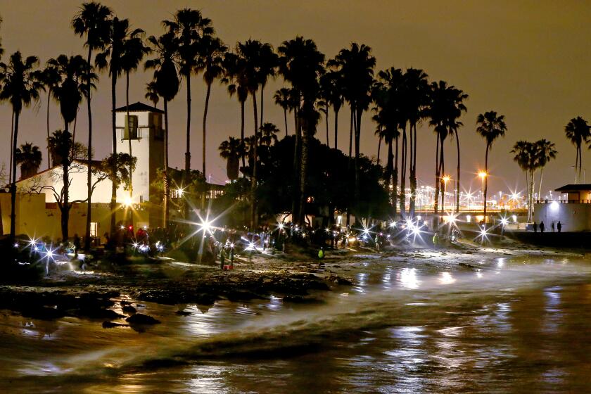 It's time for the night trip to the beach -- the grunion are running