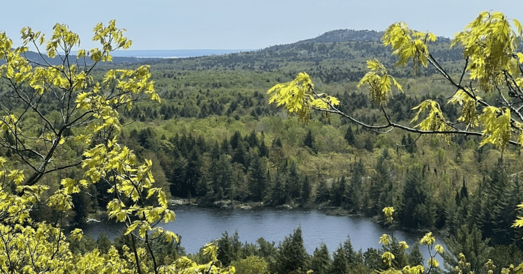 Beautiful foliage and colors reflecting on Echo Lake in Upper Michigan.