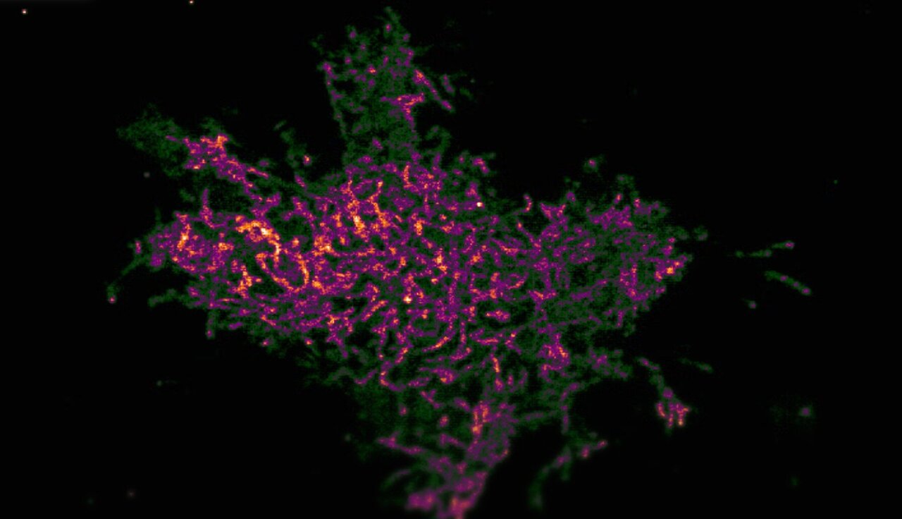 New cell imaging method shines a light on blind spots