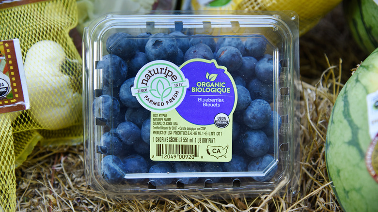 A container of Naturipe organic blueberries sits on a bed of hay among other produce, including onions and watermelon.