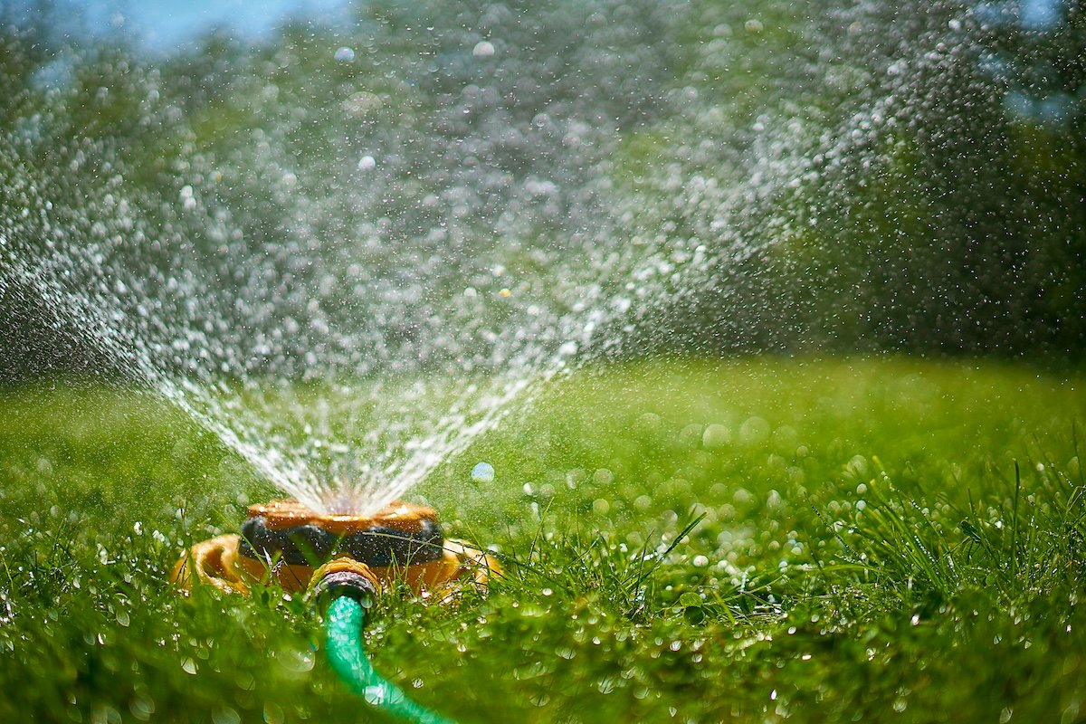 A sprinkler sprays water on a sunny day in a green lawn.