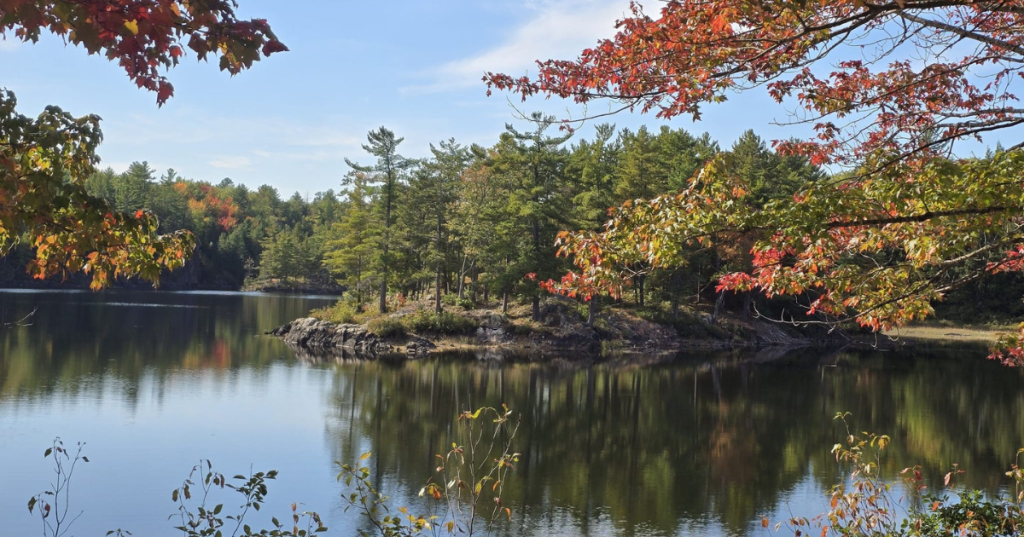 Scenic overlook of Echo Lake, Michigan framed by vibrant spring tree leaves.