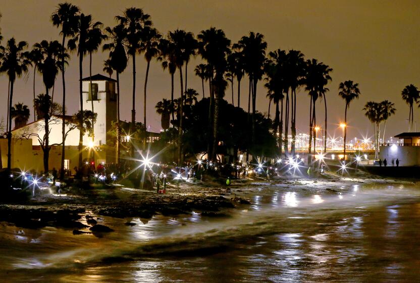 People gathered at Cabrillo Beach in San Pedro to watch waves deposit thousands of mating grunion on the shore.