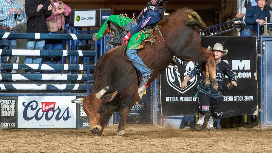 Bull riding rookie Noah Lee claims Calgary win and No. 1 spot in the world standings