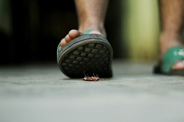 67 Things Witnessed At Someone Else’s House That Made People Swear To Never Return