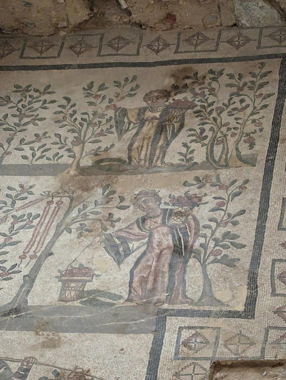 Ancient Roman farm women made wine, oil and profits. Historians dismissed them as 'housekeepers'
