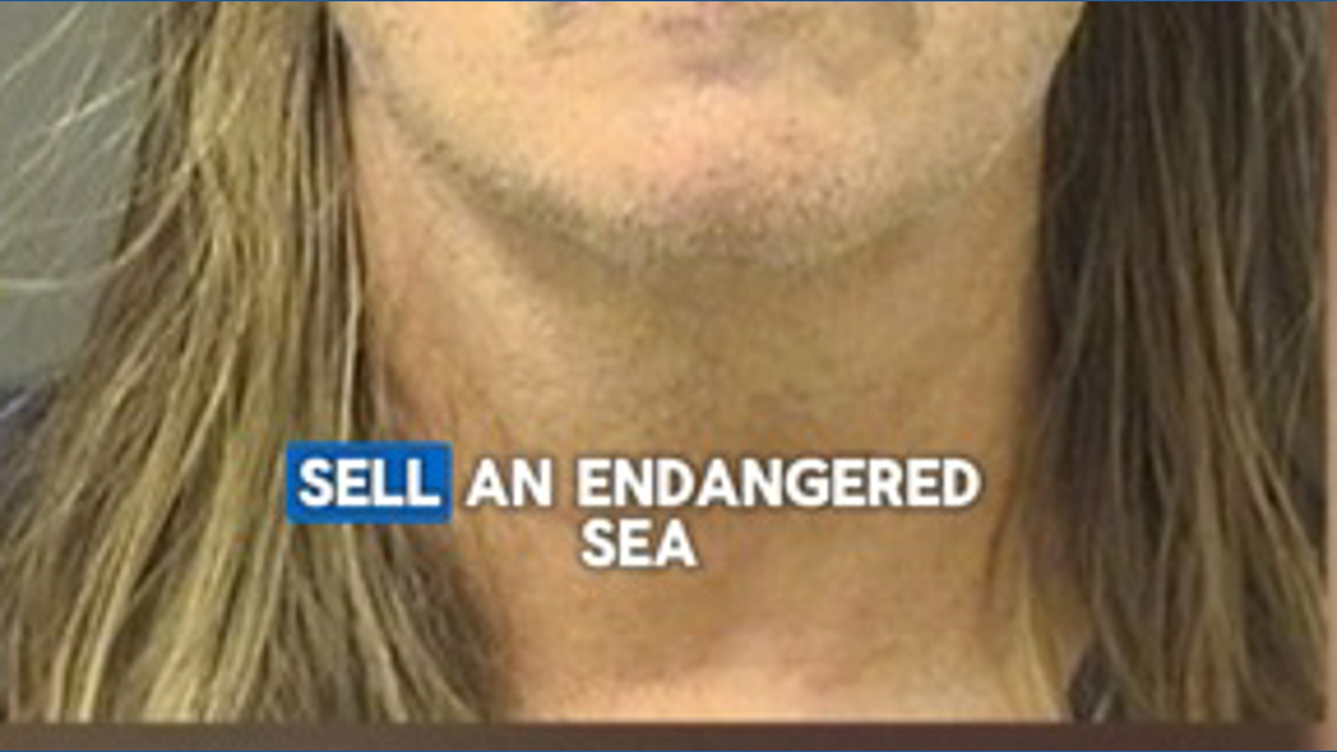 Florida man attempts to sell sea turtle shell on Facebook Marketplace