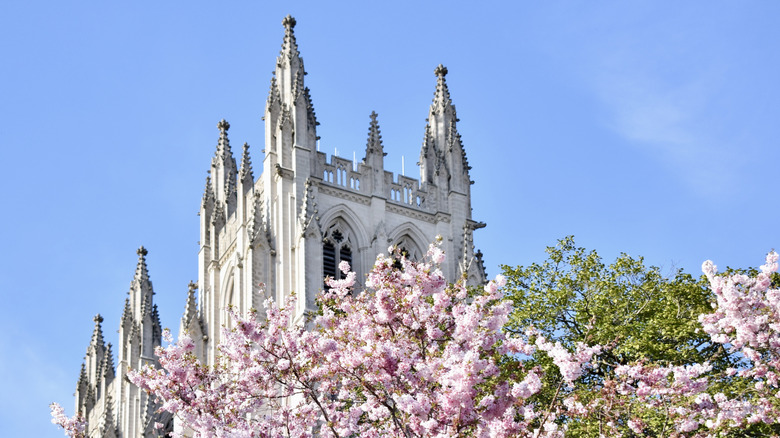 View of the Washington National Cathedral's towers