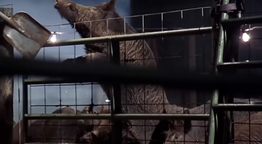 Why Climbing a Tree Would Never Actually Save You From a Wild Boar