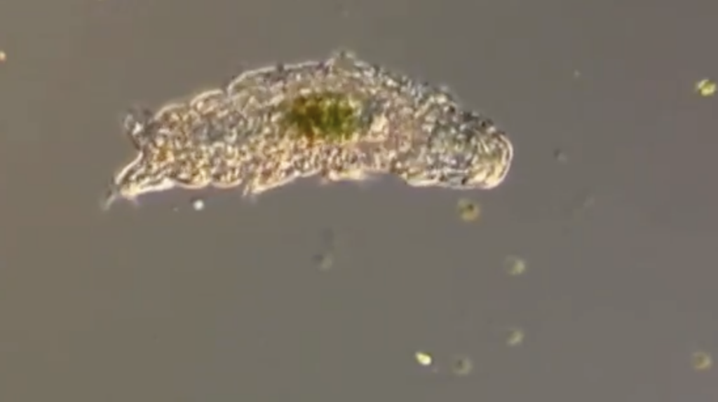 We May Be About to Find Thousands of Alien Life Forms at Once