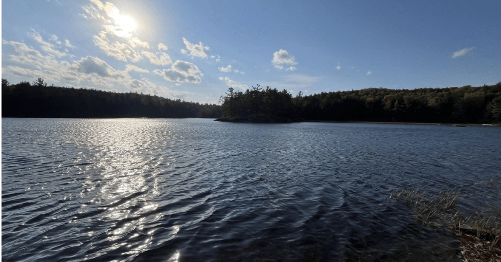 Bright sun glinting off water ripples at Echo Lake, Michigan with forested island.