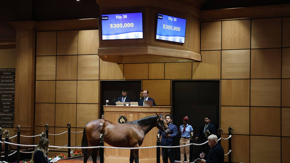Taiba posts 'very strong' debut performance at Fasig-Tipton July