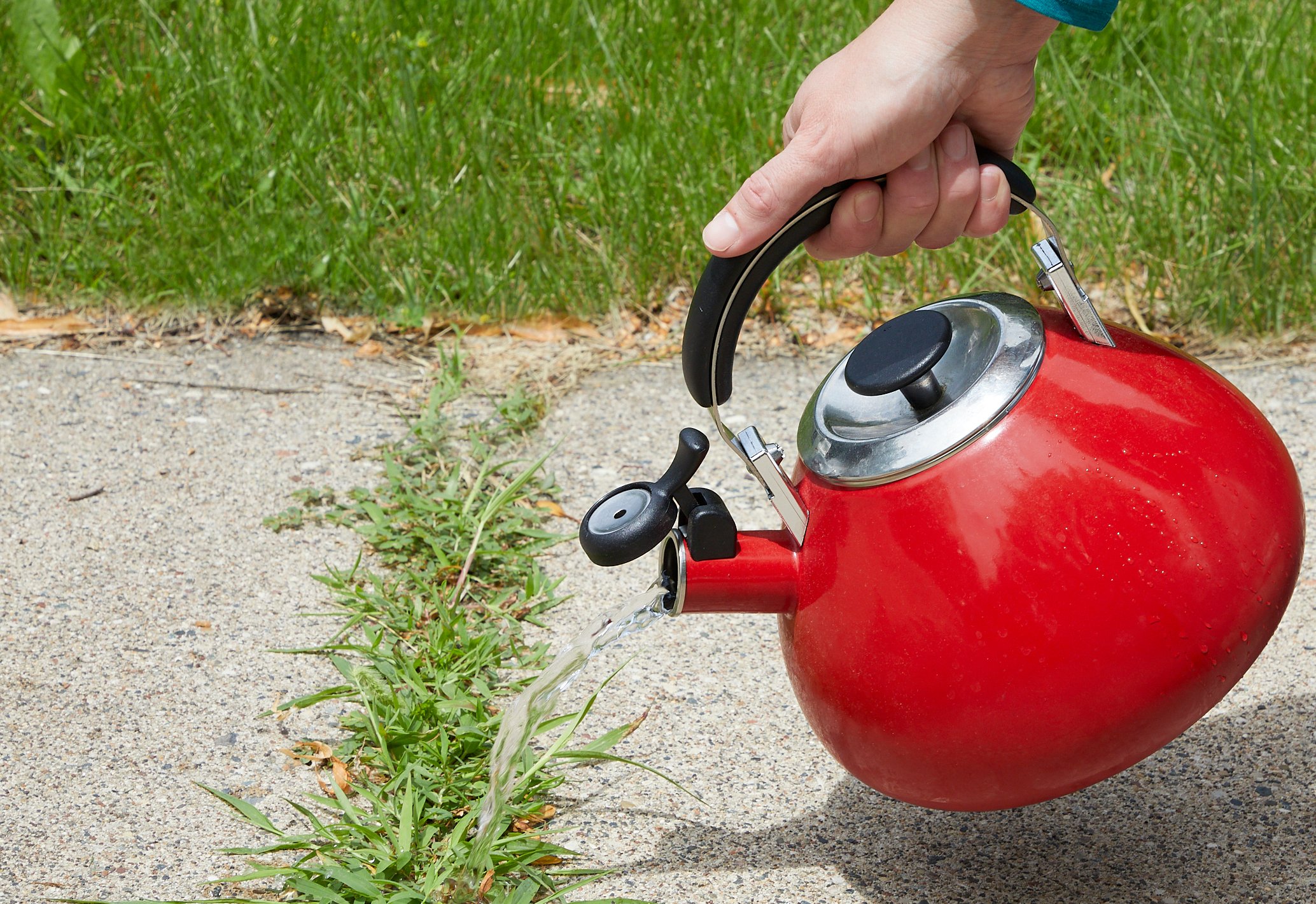 Photo: Tom Fenenga for BobVila.com