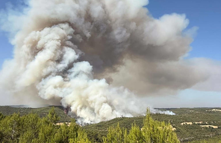 Incendio forestal fuera de control en Rubió (Anoia): quema todavía lejos de casas pero con un gran potencial
