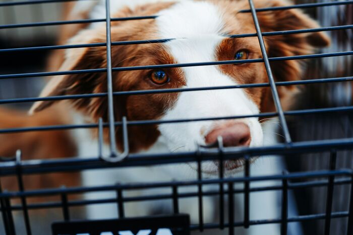 67 Things Witnessed At Someone Else’s House That Made People Swear To Never Return