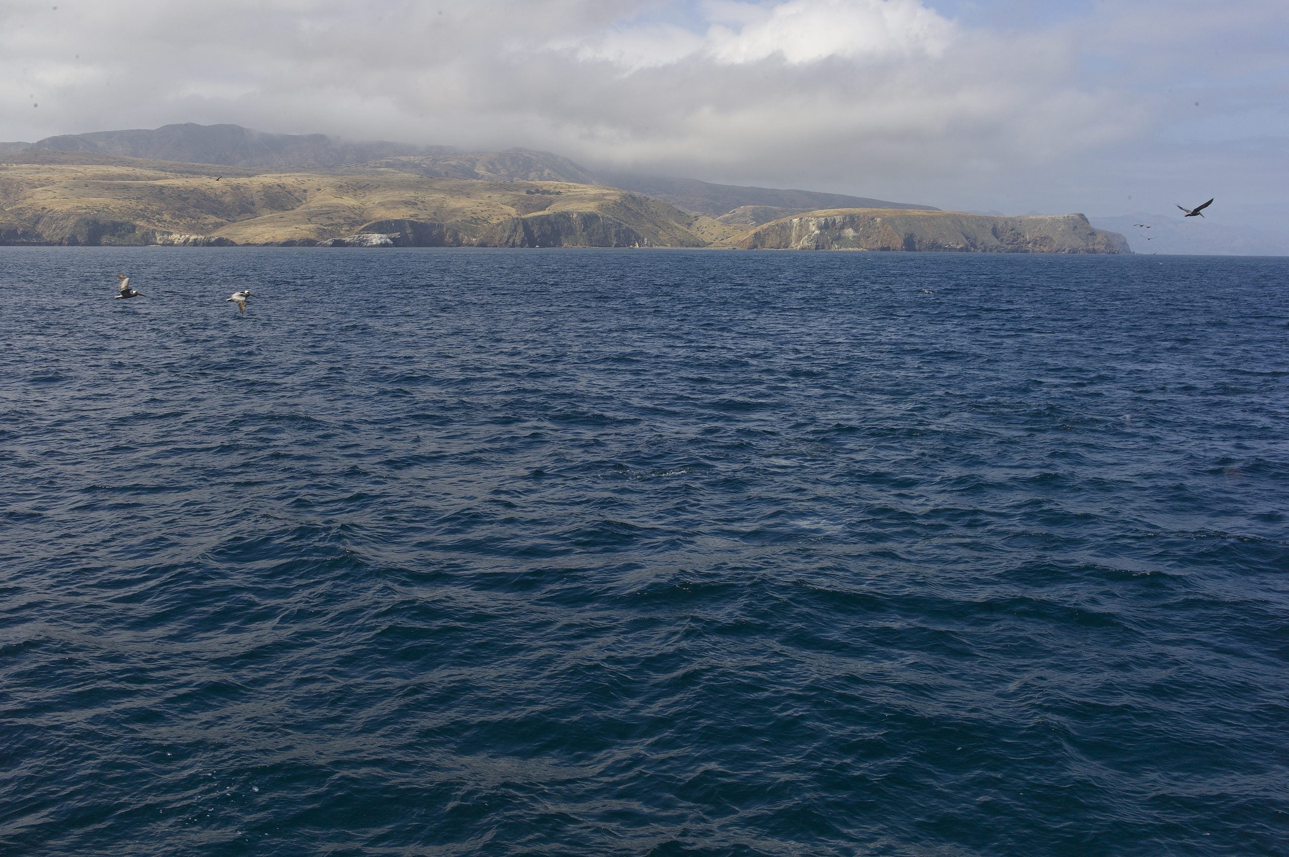 Rewriting history: Ancient 'lost world' could prove how first Americans arrived 13,000 years ago