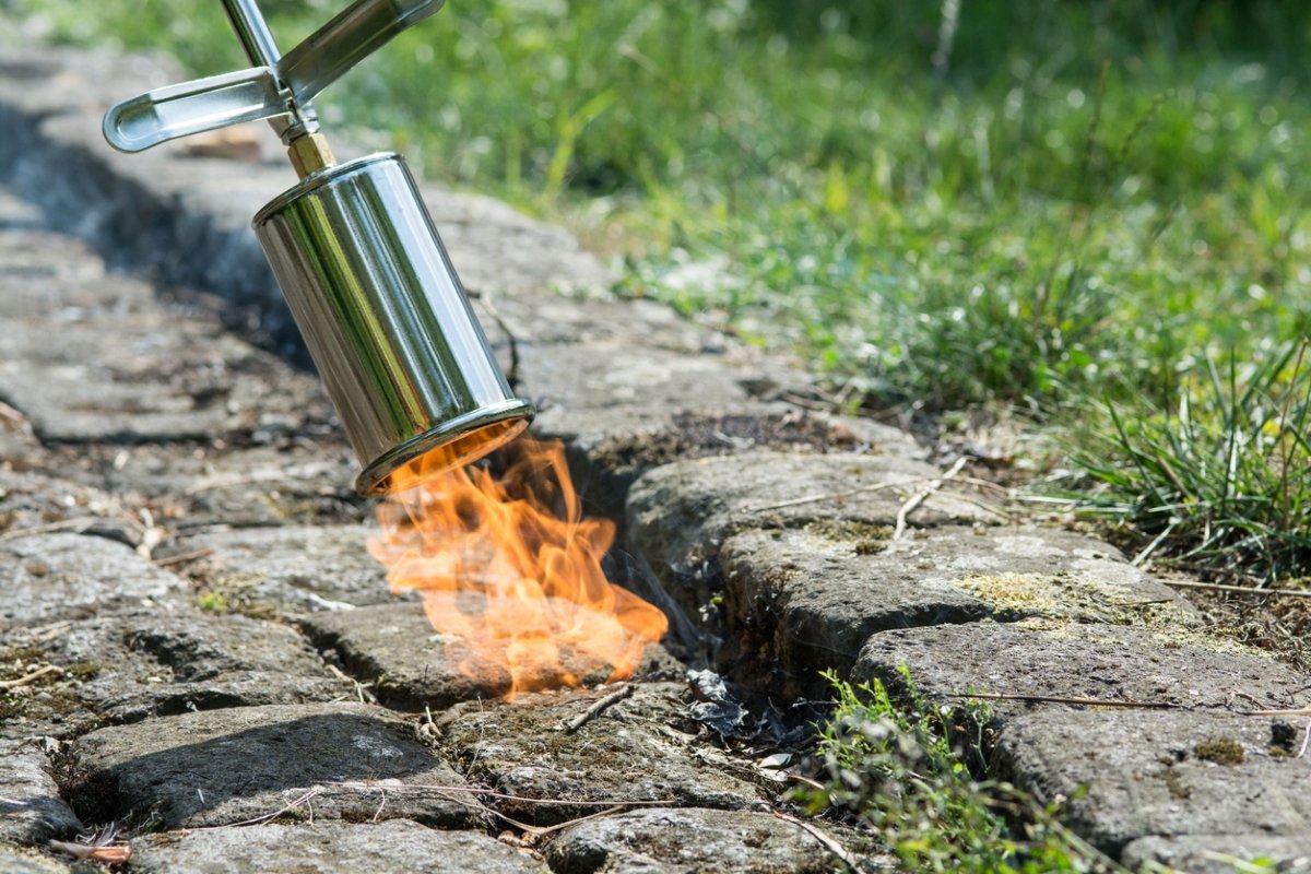 Photo: iStock