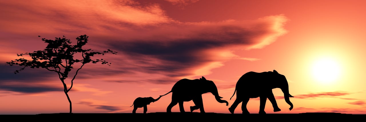 Why some rich families are trading the Hamptons for safaris this summer