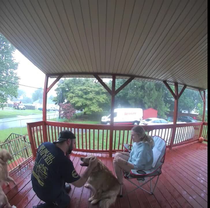 Loud lightning startles couple and their dogs