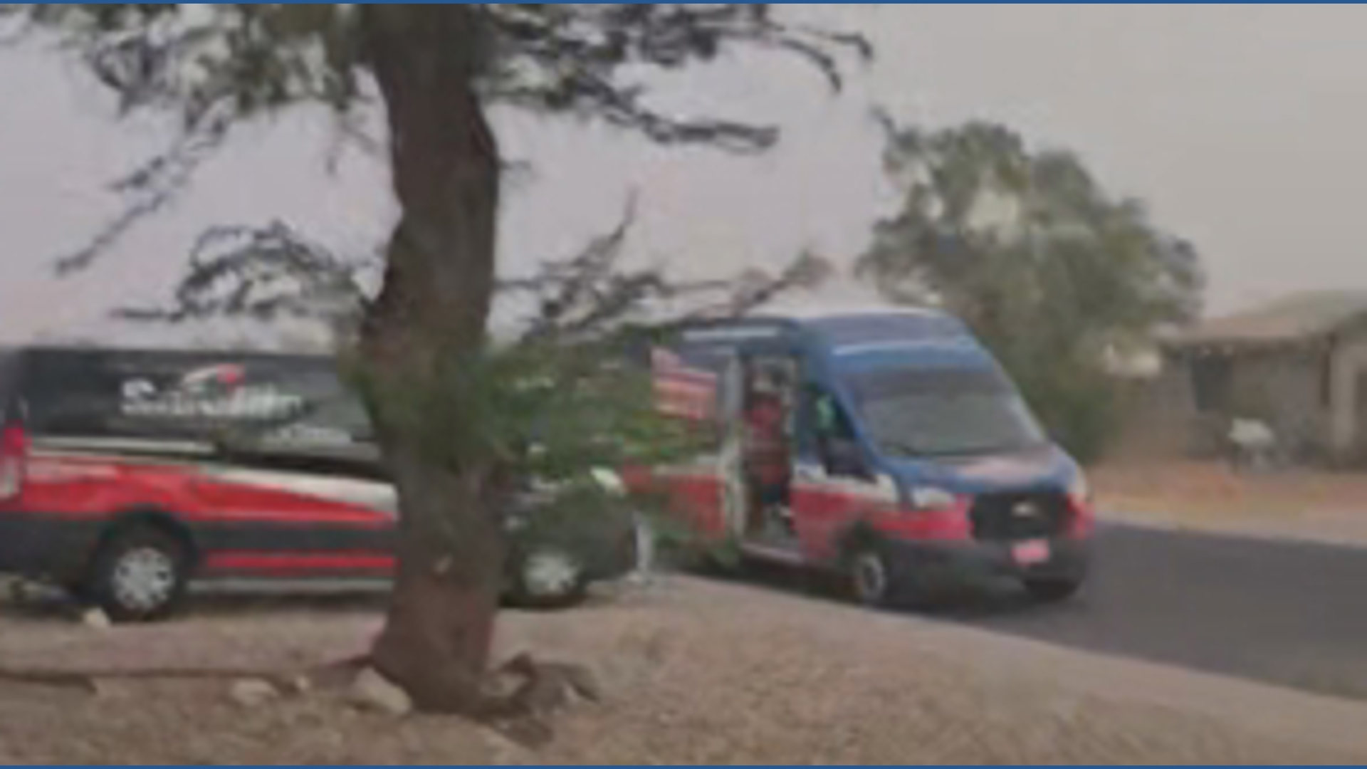 Tree crashing down in Glendale caught on camera