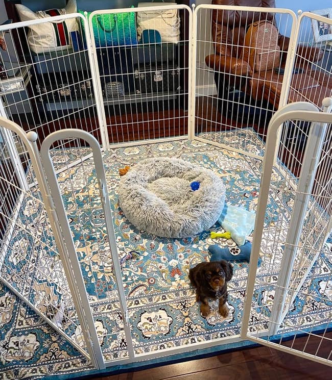 Dog playpen with a cozy bed, toys, and a patterned rug inside a living room setting