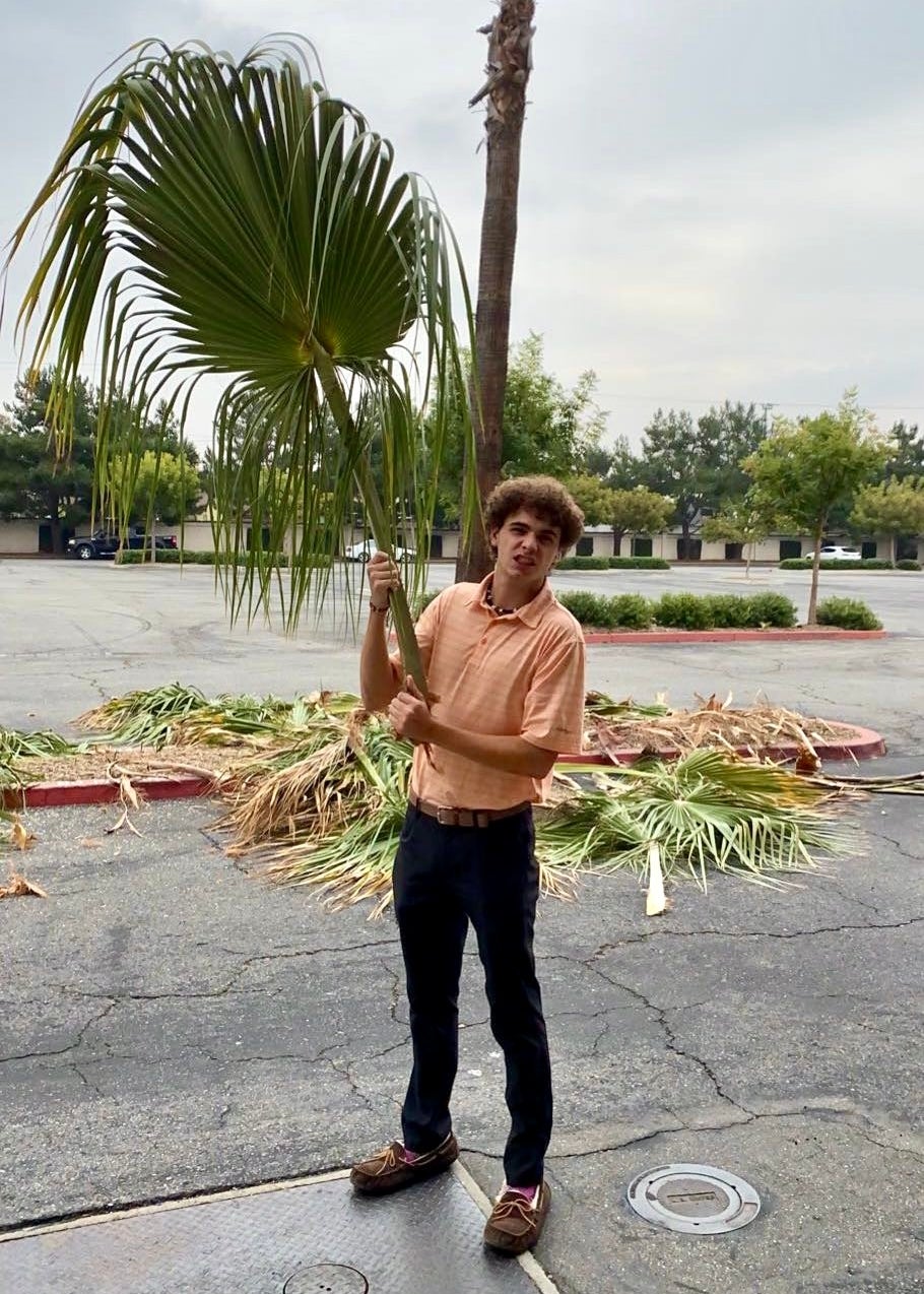Eddie holding a palm humorously in a parking lot with a palm tree behind him with many other discarded palms