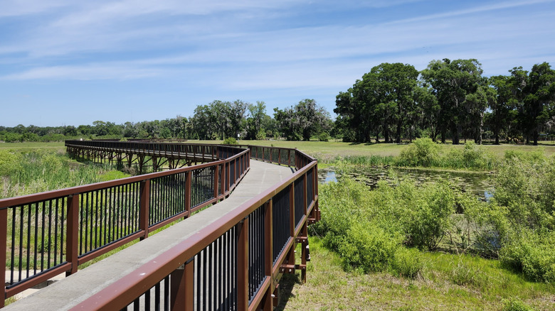 Boardwalk over marsh at Ocala Wetland Recharge Park in Florida