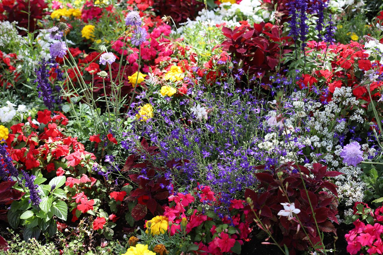 Flower bed