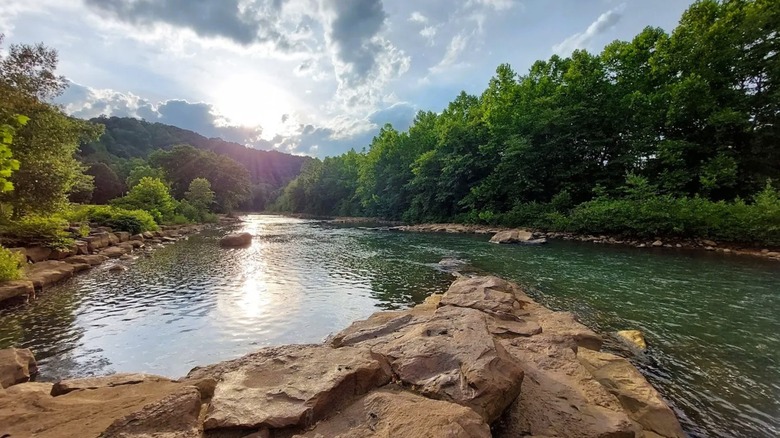Serene views of Stoneycreek River at Greenhouse Park in Pennsylvania, surrounded by rocky edges and greenery.