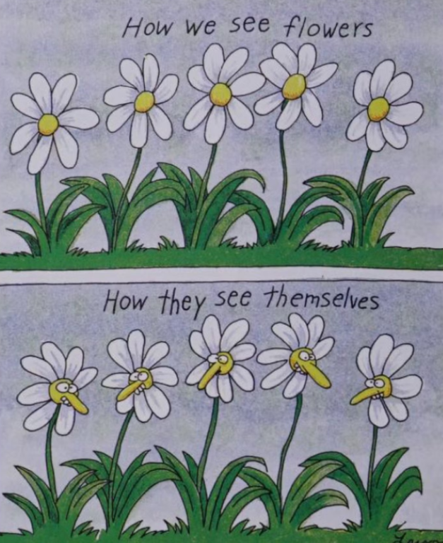 The Far Side spilt panel shows how humans see flowers and how flowers see themselves in The Far Side.