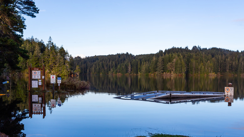 Eel Lake in high water period, William M. Tugman State Park in Oregon