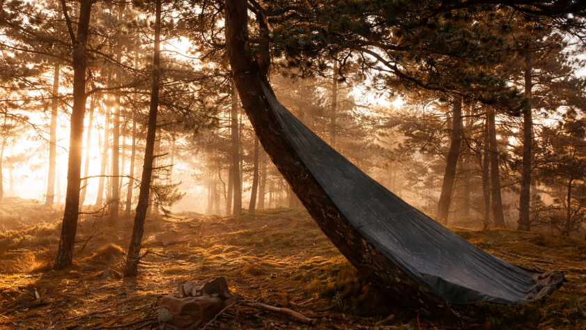 Building a bushcraft shelter among the trees in wet weather