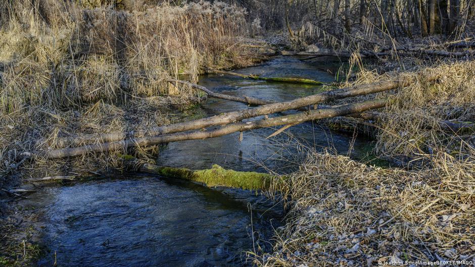 Restoring rivers can help since they can spread out during floods, creating shallow side channels and pools
