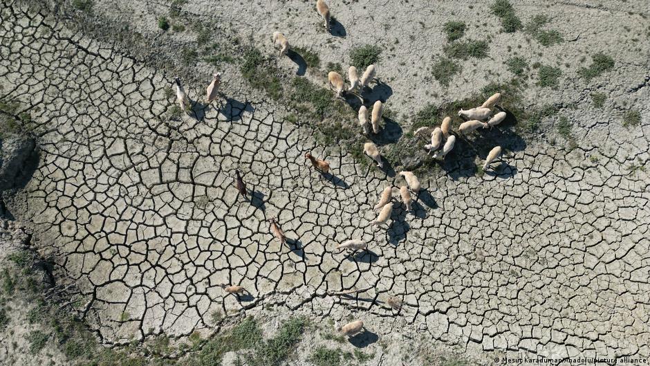 Drought had depleted water levels in Turkey's Naip Dam