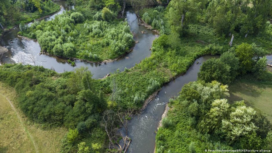 Reconnecting rivers to their historic floodplains lets excess water naturally seep into the ground