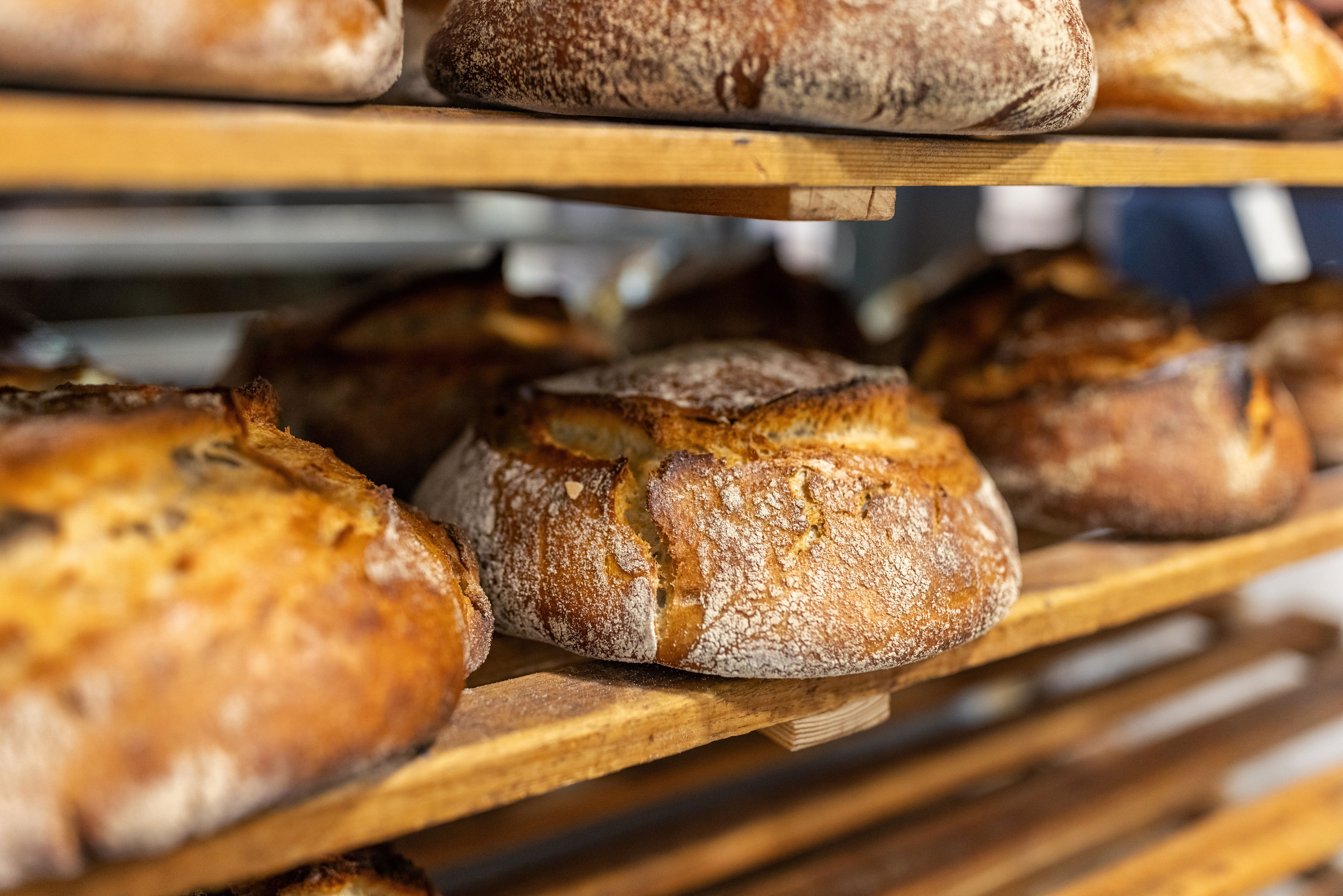 Sourdough bread on shelves