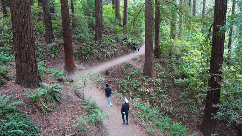 The 'Quietest City In America' Is The Perfect Destination Out West For An Unusually Tranquil Urban Vacation