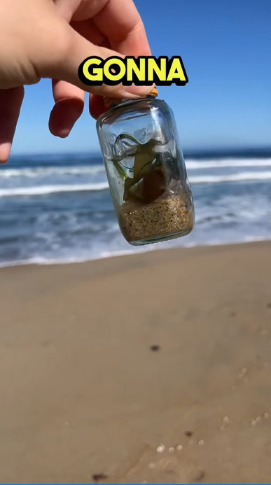 What ocean water really looks like under a microscope