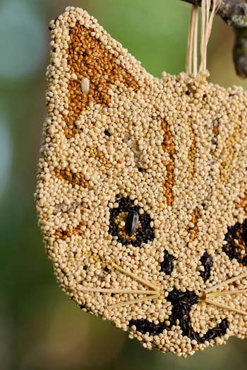 Cat-shaped bird seed ornament hanging outdoors