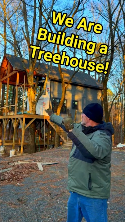 Inside a unique treehouse surrounded by water and nature