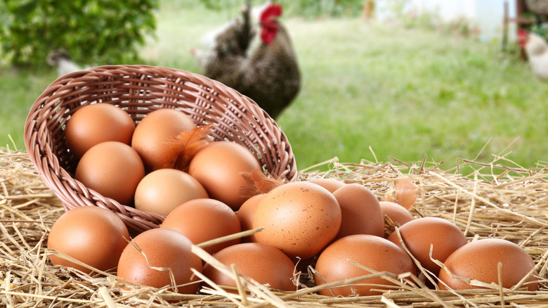 The difference between washed and unwashed eggs is more than you realize