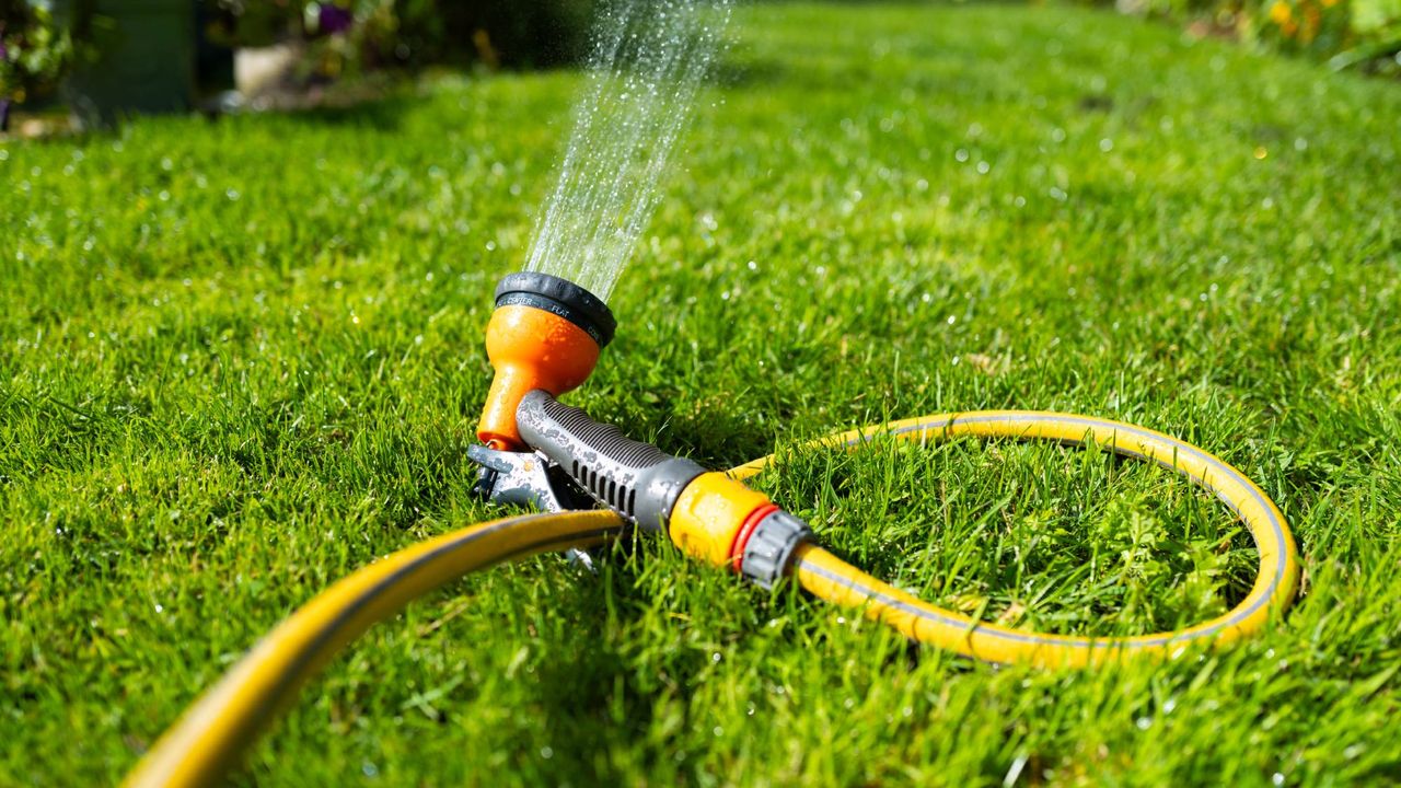 What your lawn needs in July to stay lush in a heat wave – plus the mistake that turns grass brown