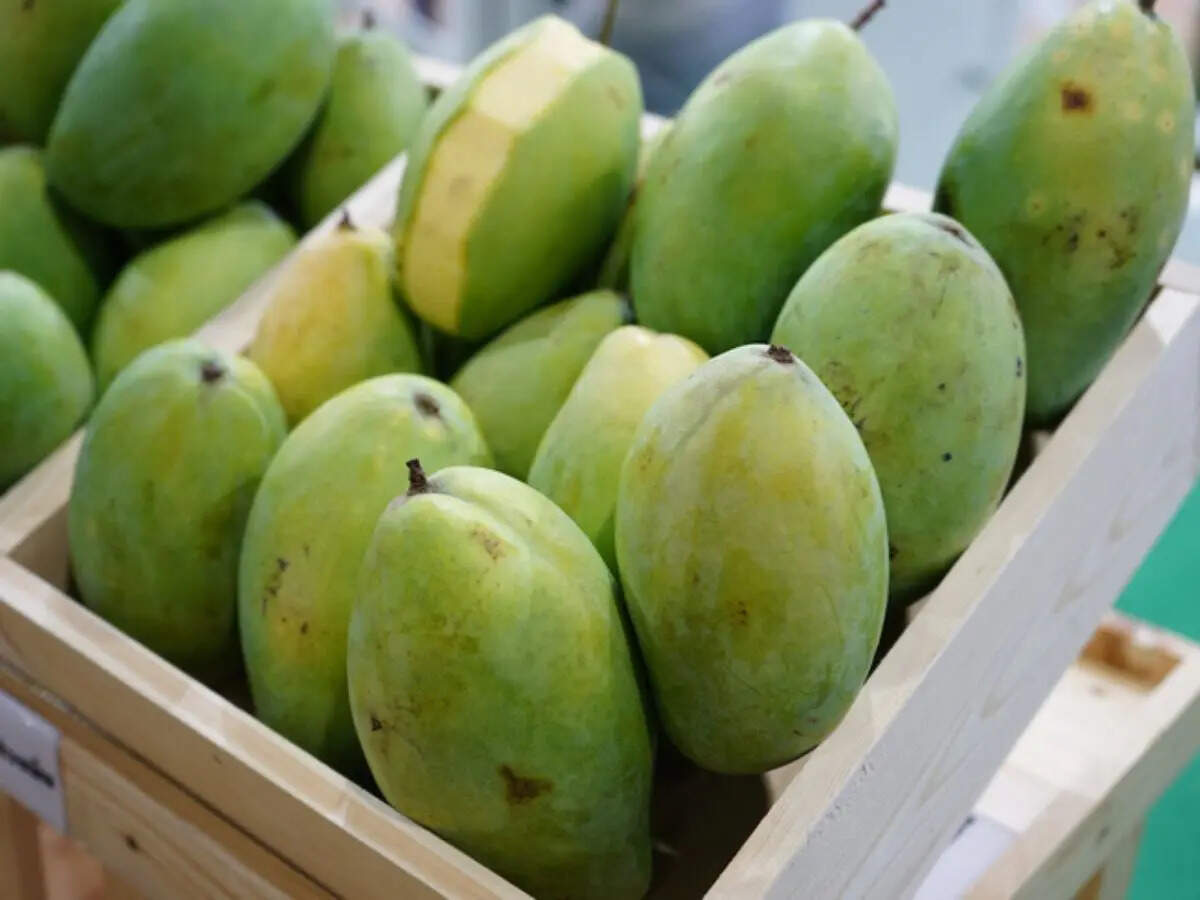 Raw mango vs ripe mango: Which one is better for health?