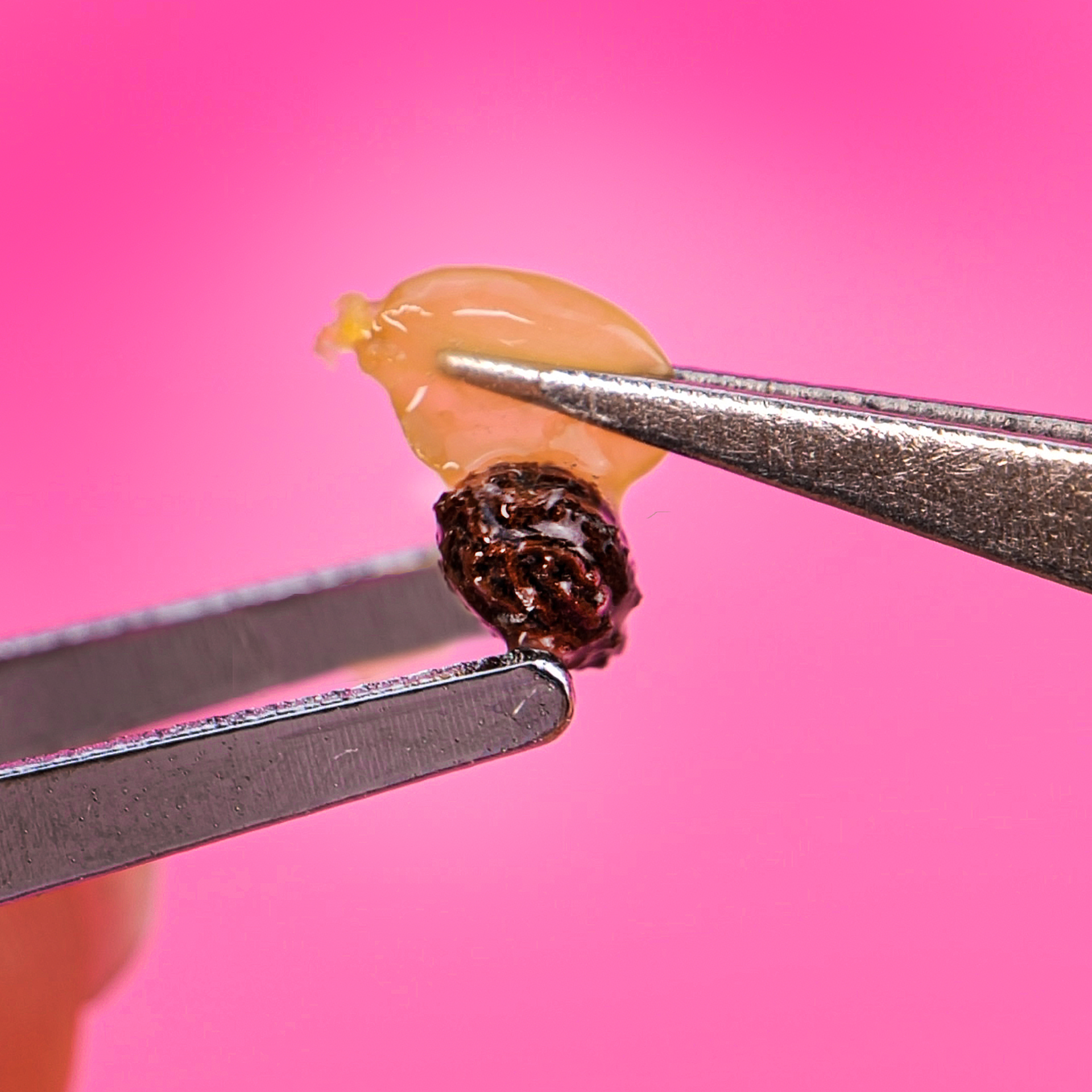 Transform your daily routine with these surprising hacks